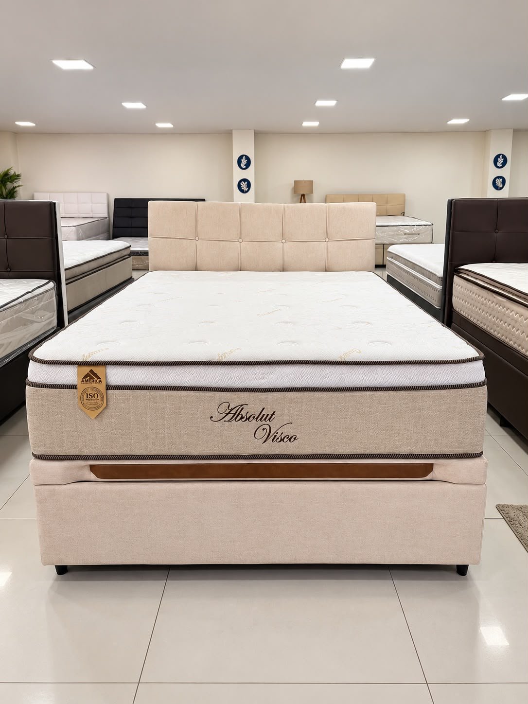 Colchão Casal Absolut Visco + Base Box Baú Evolux